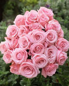 Flowers for Florists - Bunch of Be Sweet light pink roses with soft, delicate petals.