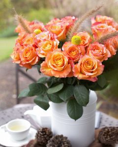 Event Flowers Wholesale - Bunch of Free Spirit orange garden roses with vibrant, garden-fresh petals.