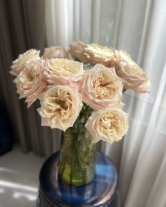 Event Flowers Wholesale - Bunch of Monet cream garden roses for timeless designs.