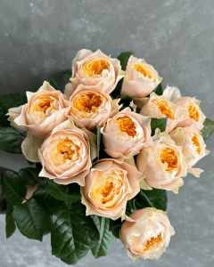 Bulk Roses - Bunch of Golden Vuvuzela yellow garden roses for vibrant floral displays.