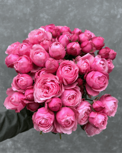 Silva Barrel- Pink