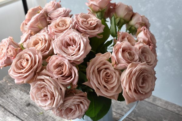 Magic Mocca Spray Rose - Image 3