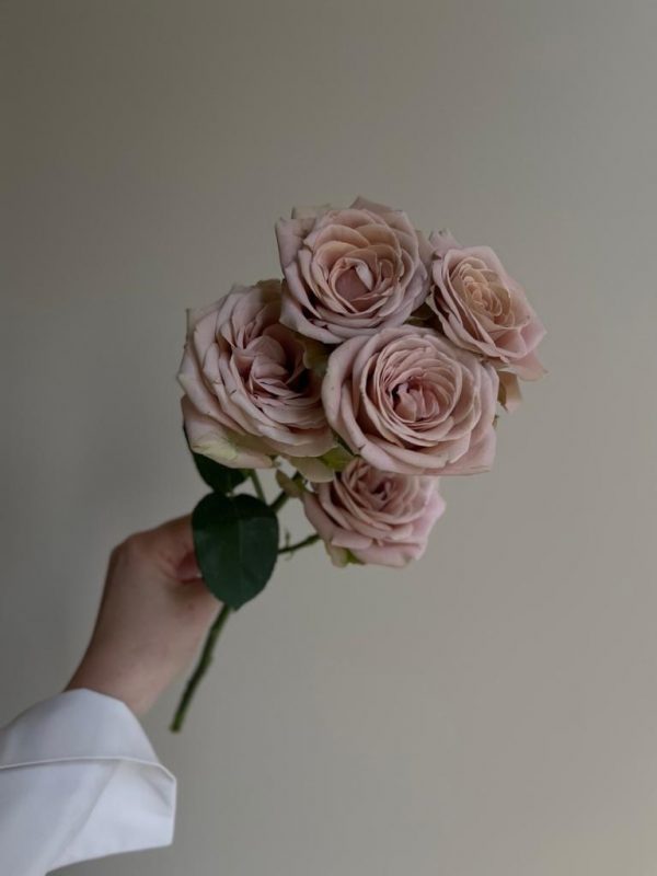 Magic Mocca Spray Rose - Image 2