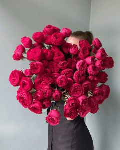Bunch of Cherry Boom hot pink spray garden roses. Fresh Flowers Online