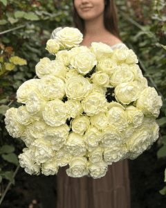 Bunch of Ivory Grace white spray garden roses. Bulk Roses