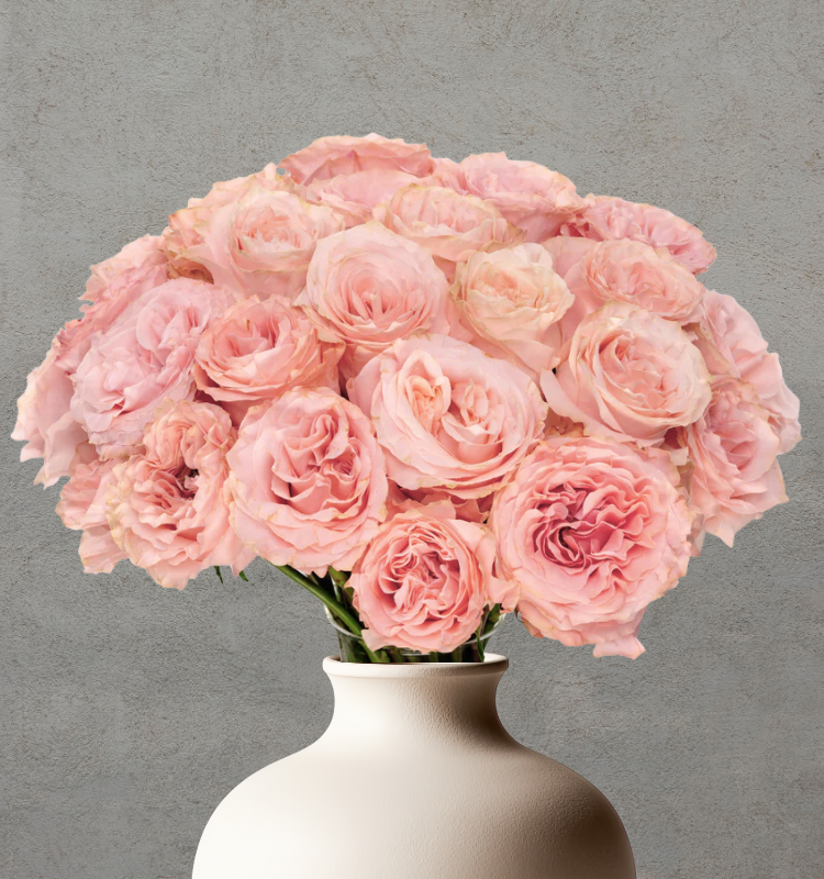 Princess Crown 3 Princess Crown - Image 3