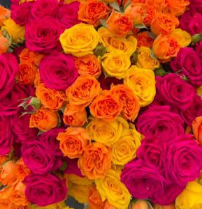 WhatsApp Image 2025 03 27 at 9.01.25 AM 1 e1743084153477 Rose