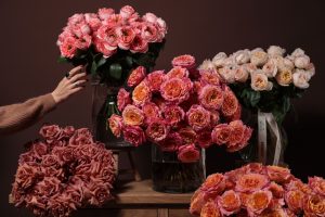 HOM 3419 Rose