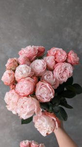 PXL 20250913 153906603 Rose