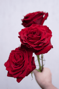 Gran corazon 3 edit Rose