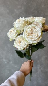 IMG 6808 Rose