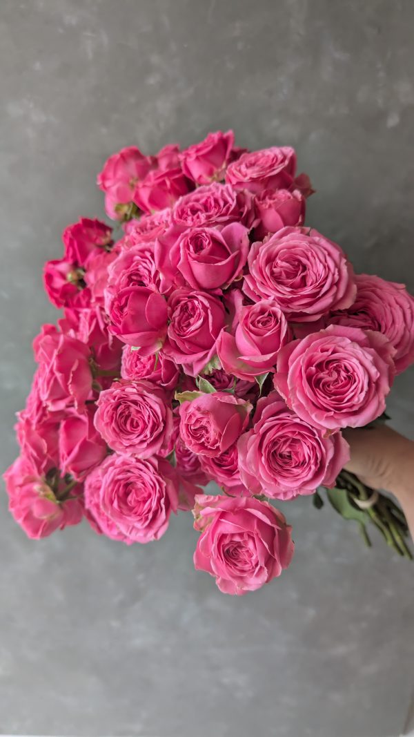 Ivy Spray Rose - Image 3