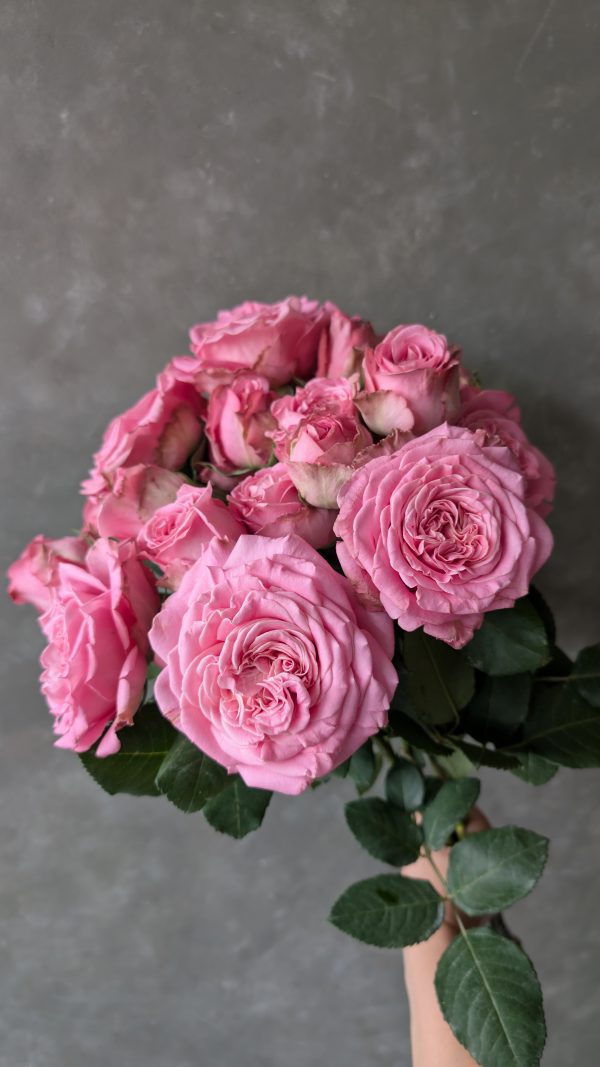 Passion in Pink Spray Rose - Image 2