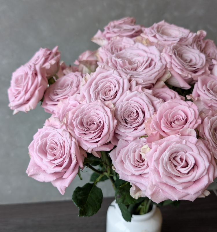 Sweet Menta Spray 3 Sweet Menta Spray - Image 3