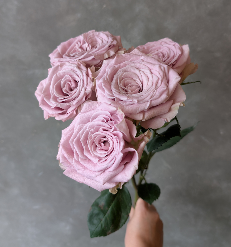 Sweet Menta Spray 1 Sweet Menta Spray