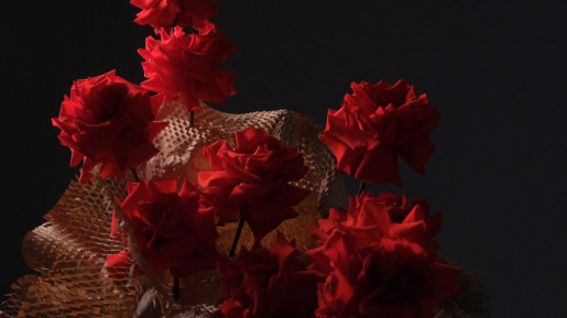 DSCF1279 1 scaled Rose