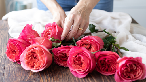 Diseno sin titulo 7 Rose