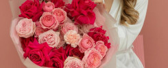 WhatsApp Image 2025 01 20 at 10.55.01 AM 7uriybpd2ihwl7v6v0qtsa3y5t0tvr6dbe Rose