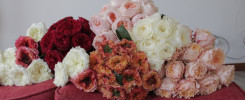 7 Trending Wedding Roses Brides Love in 2025 3 WhatsApp Image 2025 05 20 at 9.25.35 AM 7uriybywqg065uue1bah4ehma0fgnbf5d6 Rose