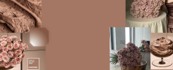 banner blogs 7uriybpd2ihwl7v6v0qtsa3y5t0tvr6dbe Rose