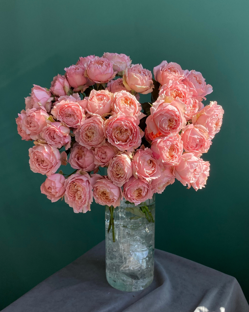 Bunch of Julietta pink spray garden rose - Wholesalr Roses