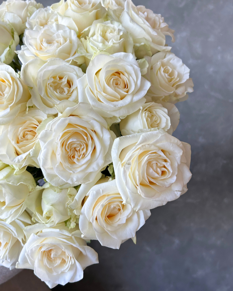 Bunch of Moonlight white spray garden roses. Bulk Roses